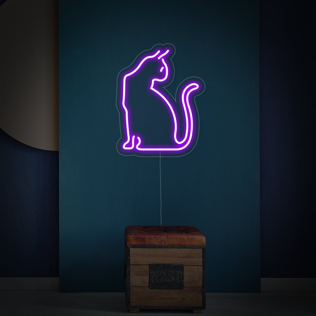 "Kätzchen, Katzenartige, Hauskatzen" Neonschrift