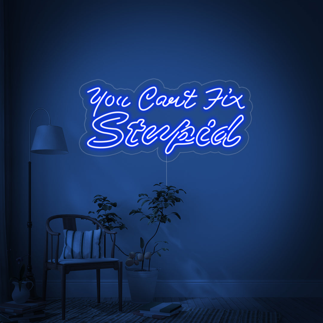 "You Cant Fix Stupid" Neonschrift