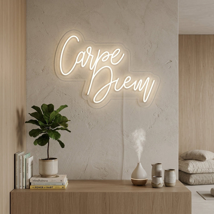 "Carpe Diem, Latin, Seize the Day" Neonschrift