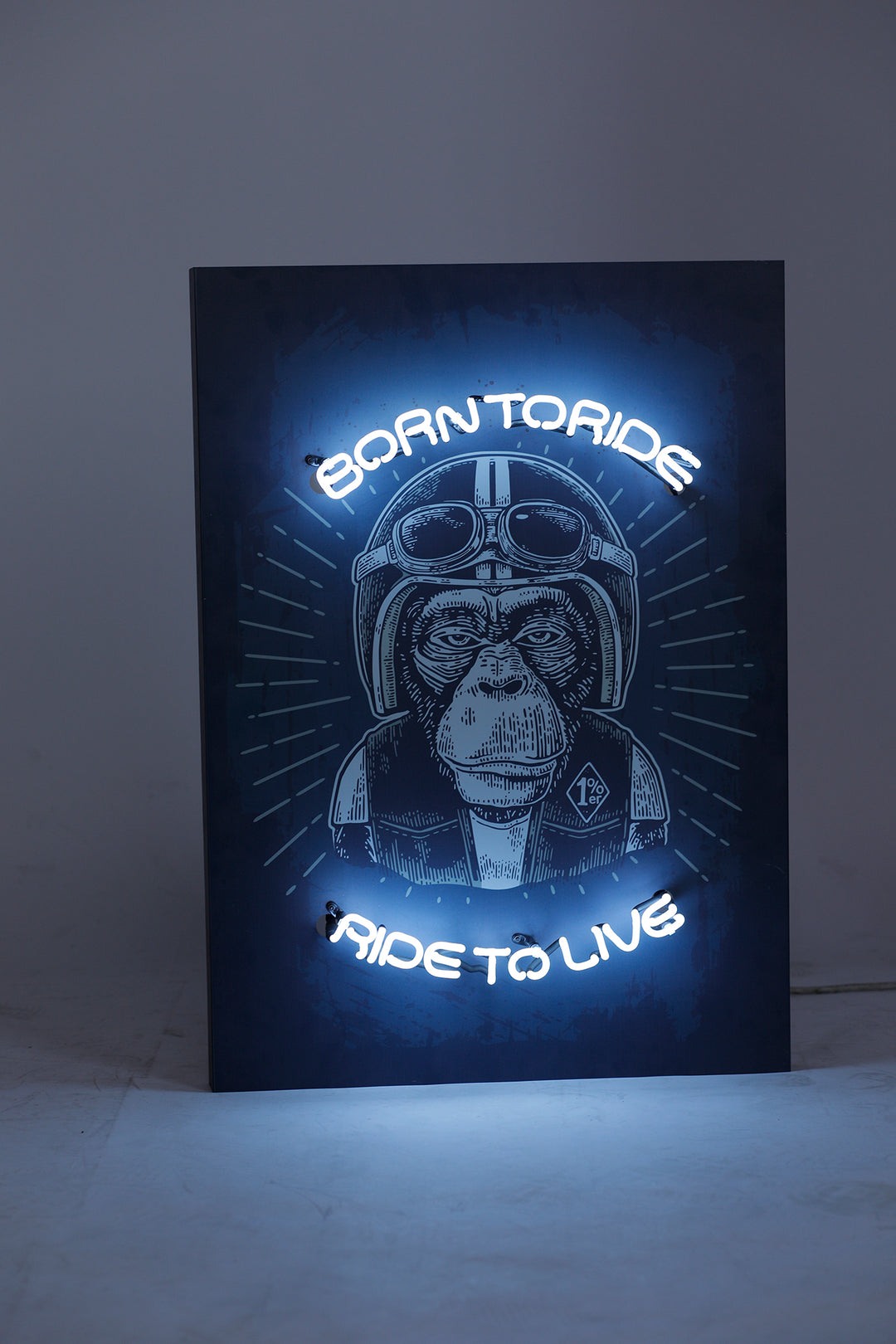 "Born To Ride, Ride To Live" Neon auf Leinwand
