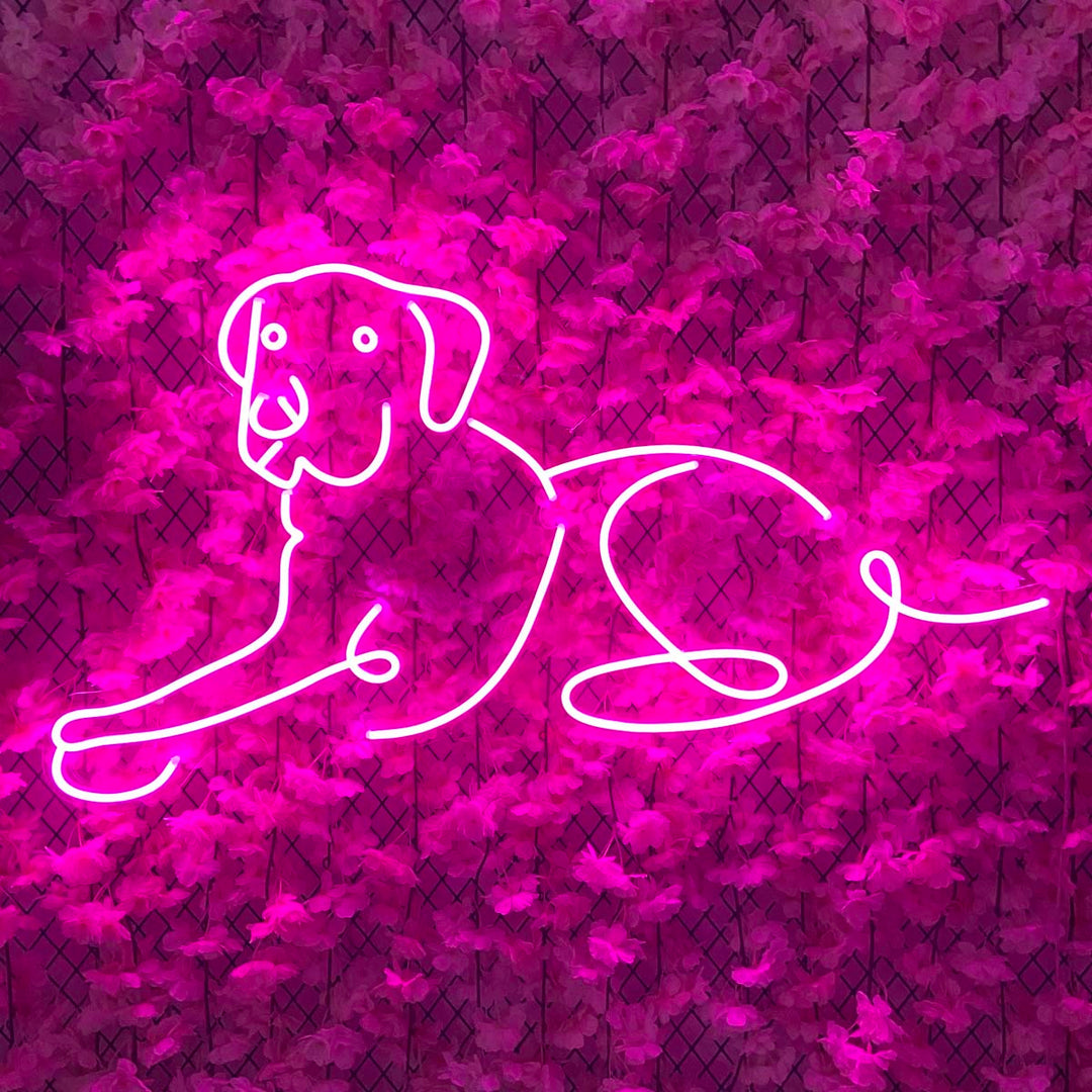 "Labrador Retriever Hund" Neonschrift